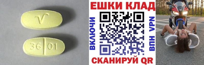 ЭКСТАЗИ Philipp Plein  что такое   Маркс 