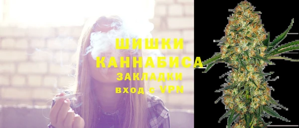 сатива Белоозёрский