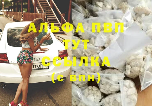 сатива Белоозёрский