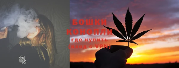 сатива Белоозёрский