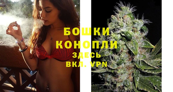 сатива Белоозёрский