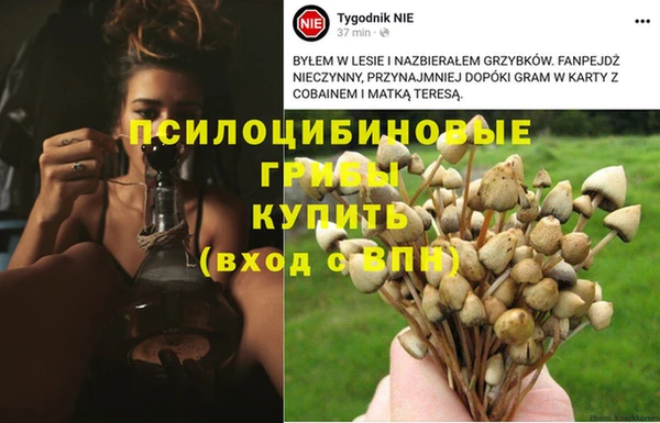 герыч Белокуриха