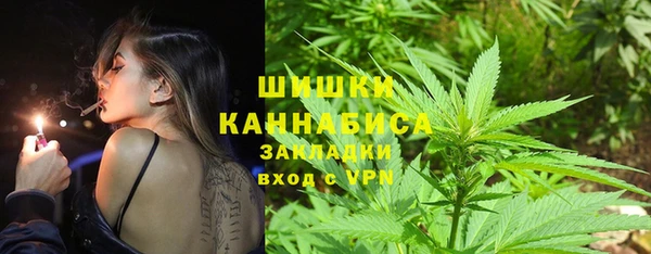 сатива Белоозёрский
