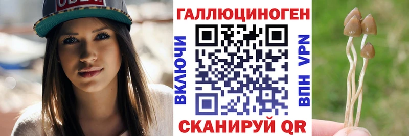 Псилоцибиновые грибы Psilocybine cubensis  Маркс 